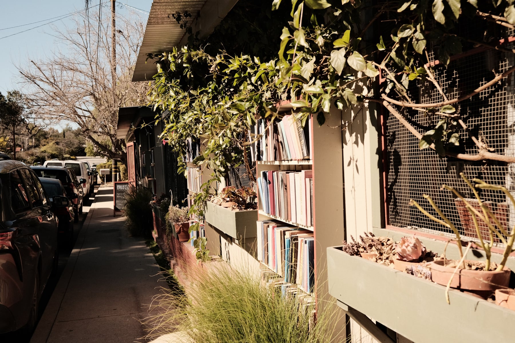 Bart's Books exterior in Ojai, outdoor shelves lining the sidewalk beneath vines in afternoon light